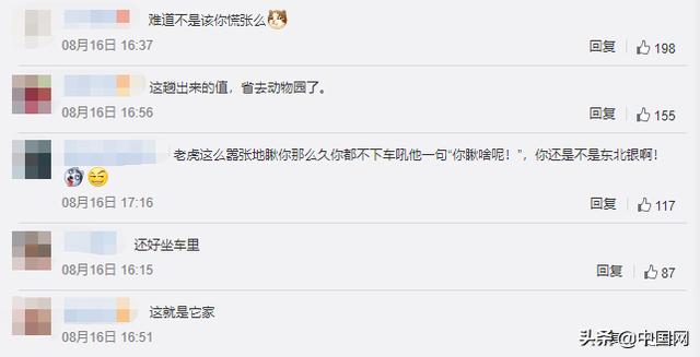 吉林一男子乘出租车路遇300多斤老虎:慢慢悠悠仿佛在自家散步休闲区蓝鸢梦想 - Www.slyday.coM 吉林一男子乘出租车路遇300多斤老虎:慢慢悠悠仿佛在自家散步休闲区蓝鸢梦想 - Www.slyday.coM