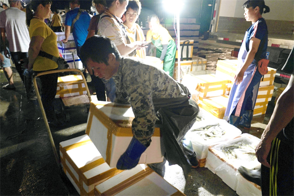 渔民们忙着卸货(央广网发&nbsp;周燕摄)