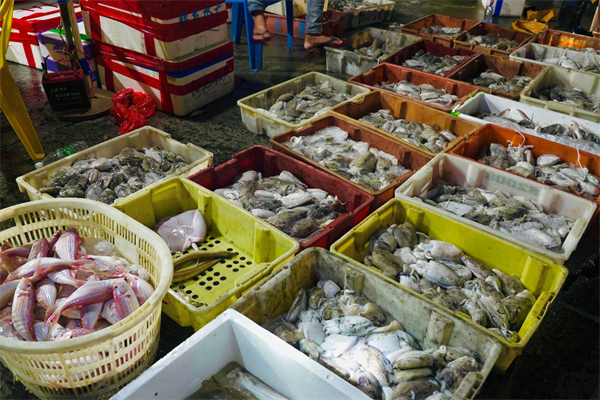 广西北海市大批生猛海鲜凌晨上岸群众争相抢购