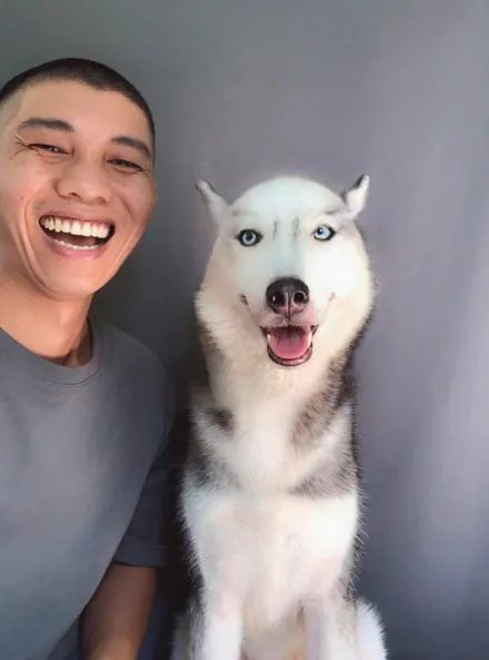 小哥给哈士奇理发,可下一秒居然没忍住给它剪了个光头,笑死了!
