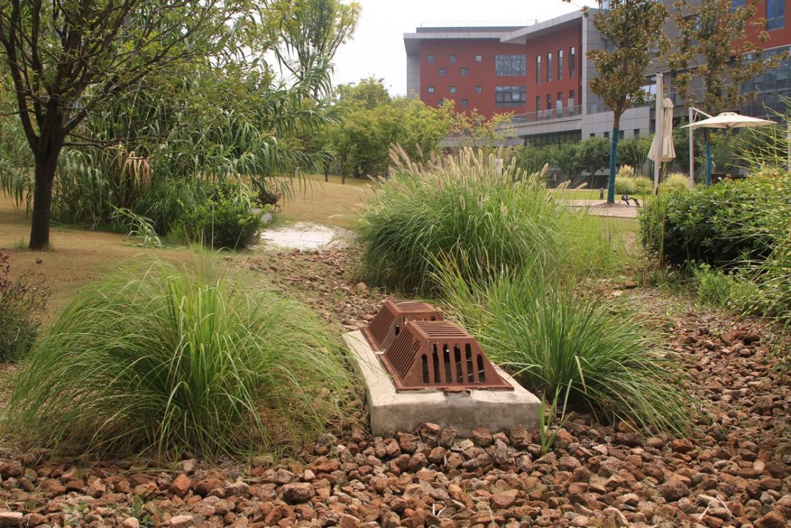 西咸新区:建筑废料打造出海绵城市景观"雨水花园"