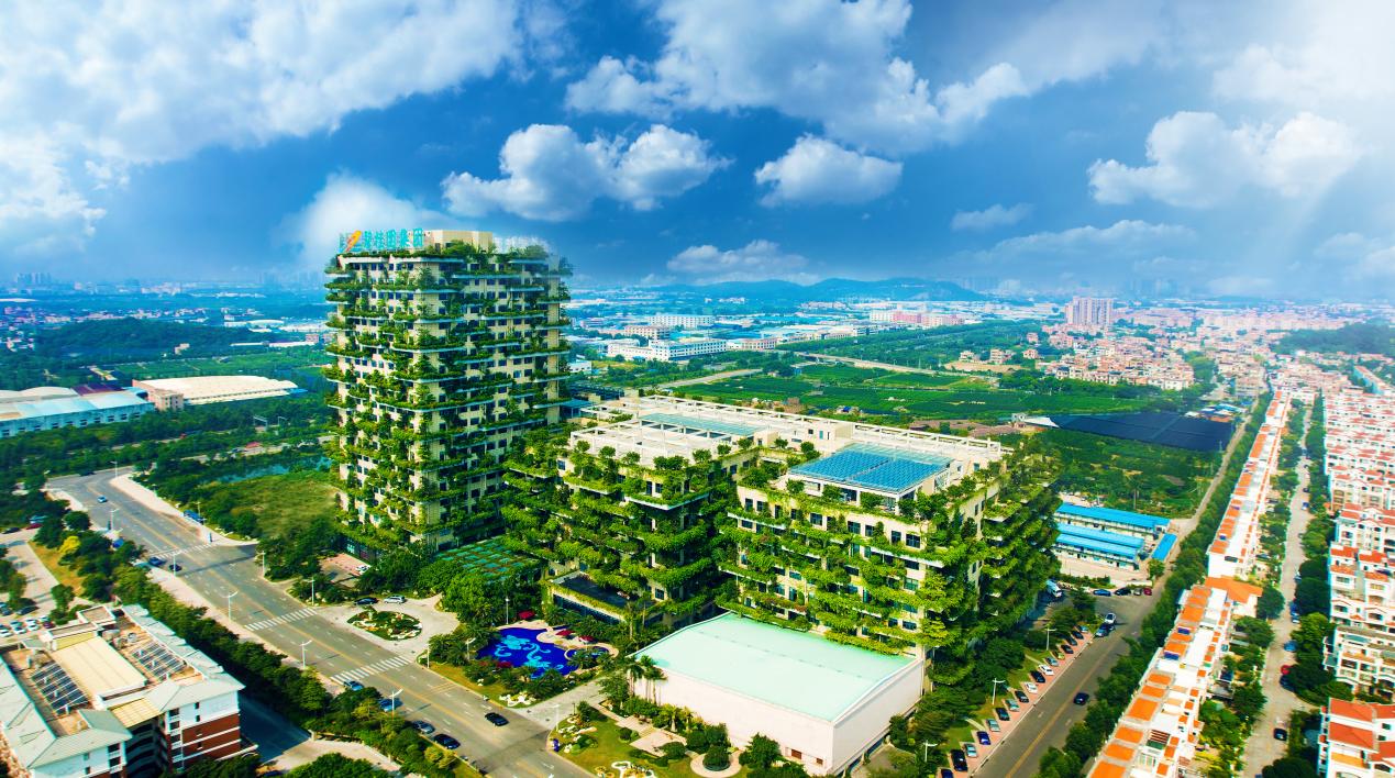 投资新能源科技蜂巢能源碧桂园创投踏准产业新风口