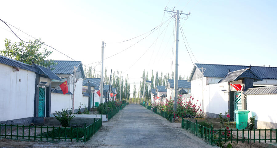 麦盖提玉石特点 河南人生活一年身体变化