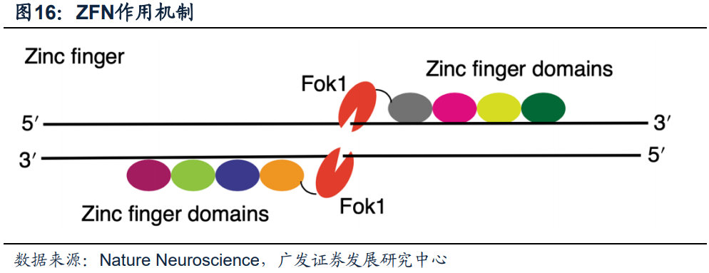 细胞与基因治疗行业深度报告：加速崛起的黄金赛道__财经头条