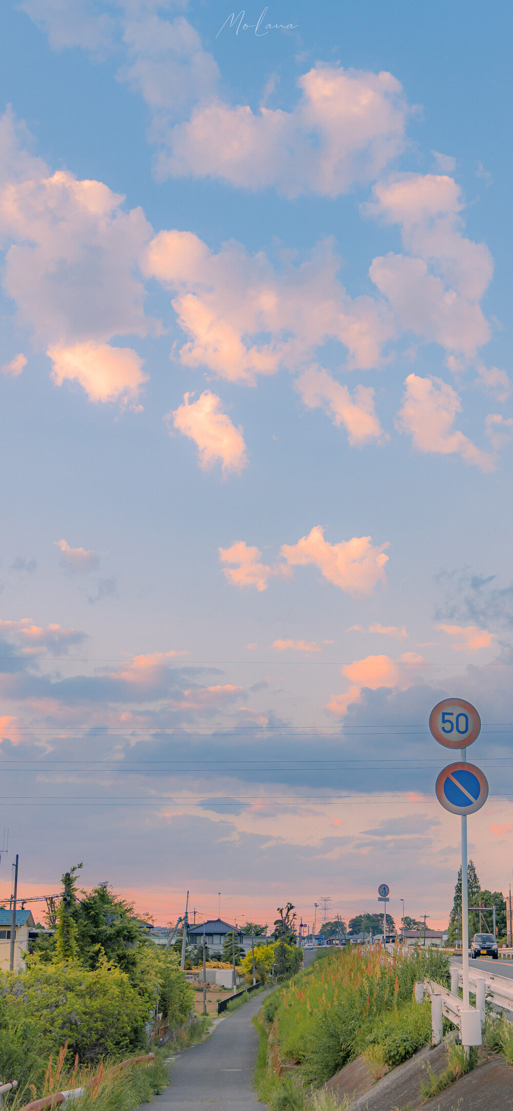 不必要苛求生活的完美,更不必要抱怨命运的缺失