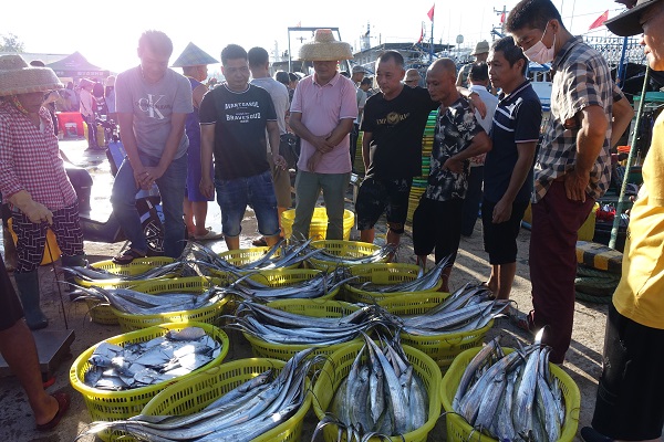 海鲜客商前来选购 央广网发 林小毅 摄