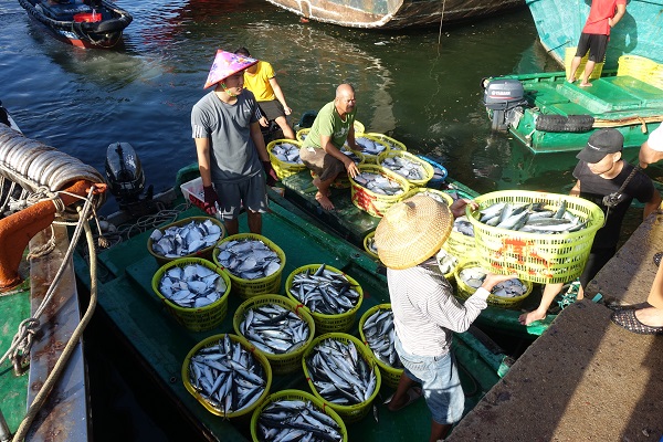 通讯员林小毅)8月17日,海南省琼海市潭门渔港的渔民们带着开渔季后的