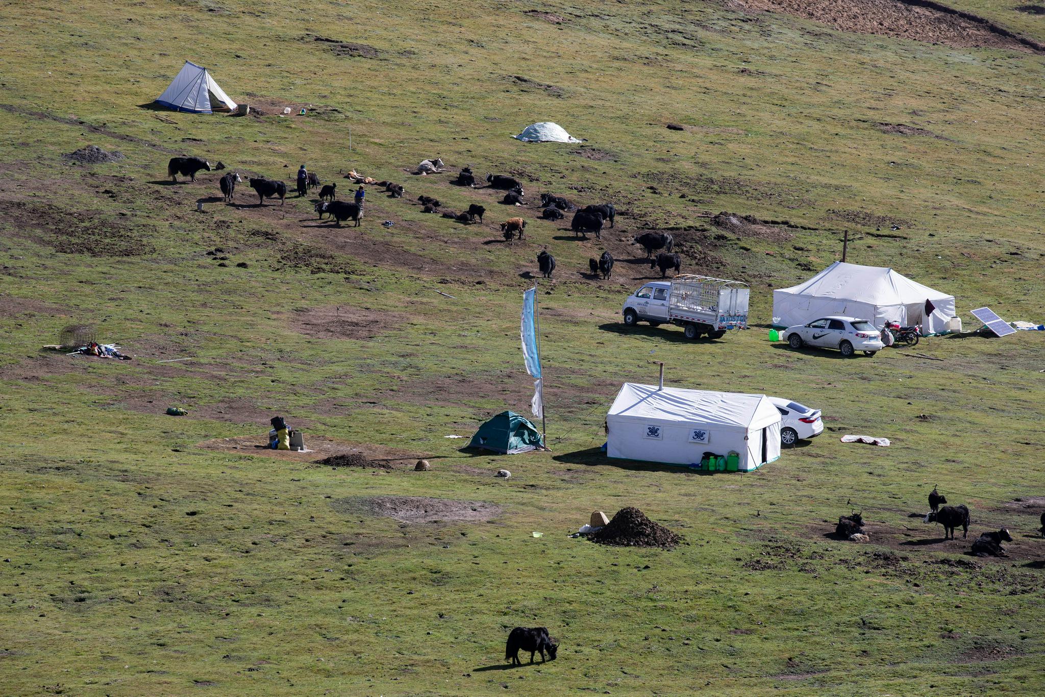 这是牧民严扎家退化严重的牧场一角(8月17日摄). 新华社记者 江宏景摄