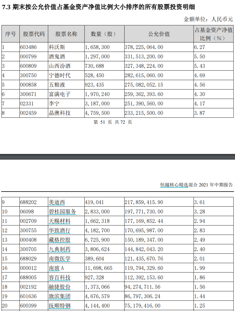 基金隐形重仓股揭秘：高楠聚焦硬科技，丘栋荣仍看好权益资产