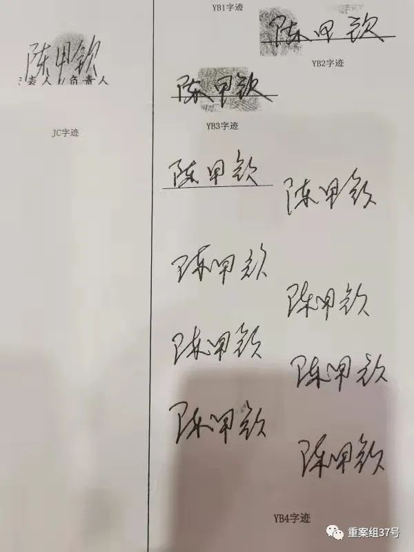 ▲陈甲钦签字笔迹比对，左侧为合同中假签名。新京报记者 李英强 摄