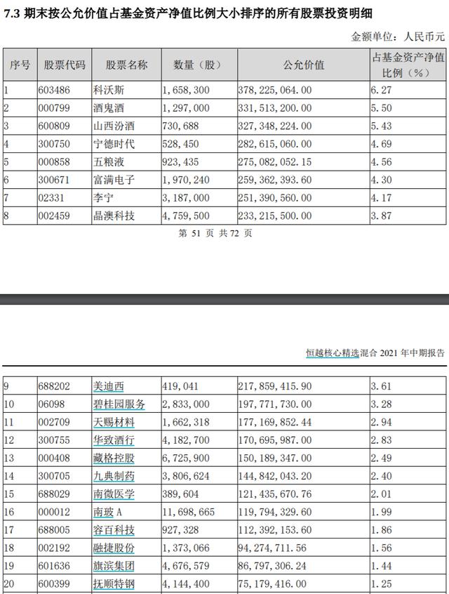 基金隐形重仓股揭秘：高楠聚焦硬科技 丘栋荣仍看好权益资产