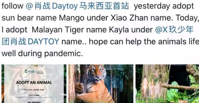 为中国娃肖战点赞!登国外畅销报纸,世界第一高楼,粉丝：小场面休闲区蓝鸢梦想 - Www.slyday.coM