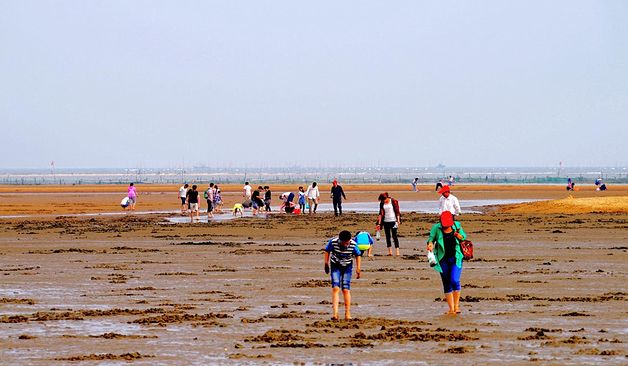 日照景点推荐刘家湾赶海园低音号导游