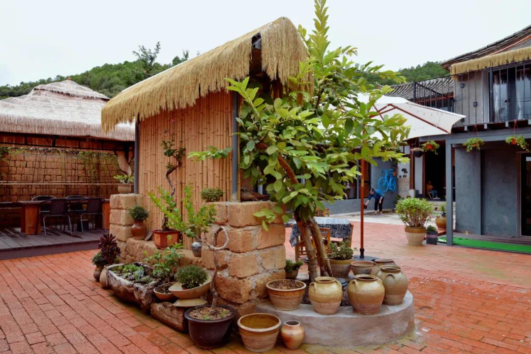 都是当地常见的品种围绕的绿植隐约有了东南亚风情竹草做成的屏风还是