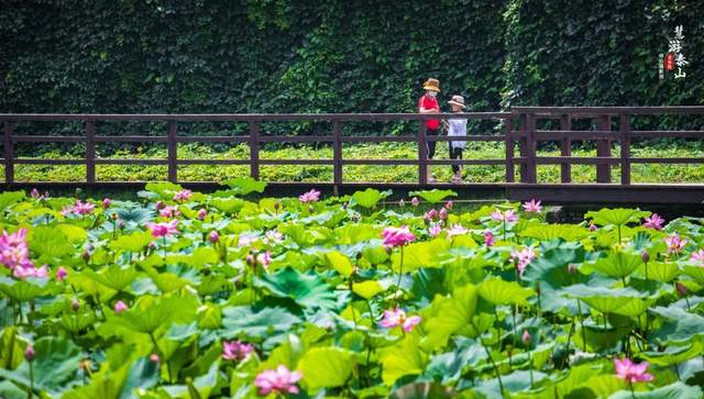 如果季节有色彩，那秋天一定是这种……休闲区蓝鸢梦想 - Www.slyday.coM