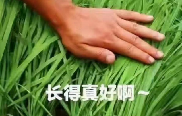 又一教育巨头破产：拖欠员工3个月工资，卷走12亿跑路休闲区蓝鸢梦想 - Www.slyday.coM