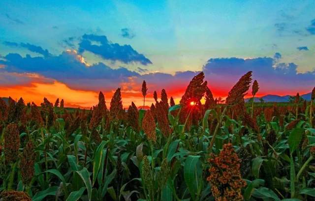 如果季节有色彩，那秋天一定是这种……休闲区蓝鸢梦想 - Www.slyday.coM