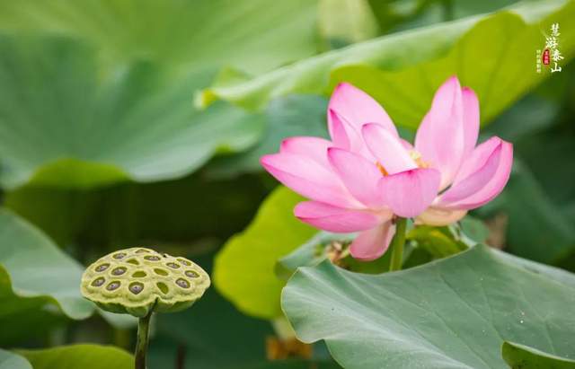 如果季节有色彩，那秋天一定是这种……休闲区蓝鸢梦想 - Www.slyday.coM