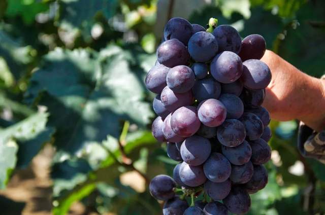 如果季节有色彩，那秋天一定是这种……休闲区蓝鸢梦想 - Www.slyday.coM