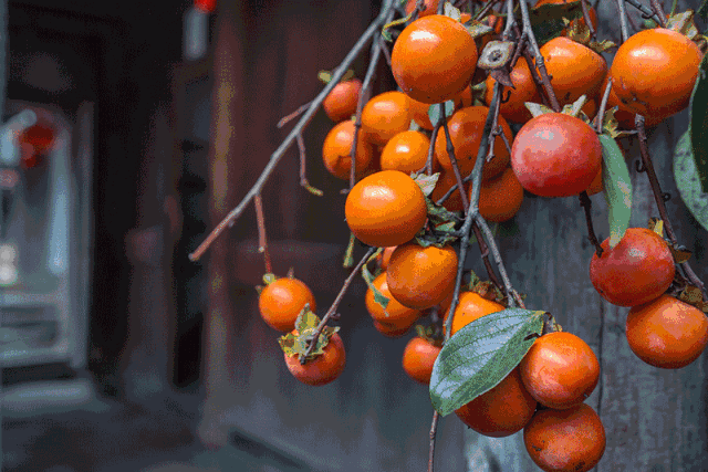 如果季节有色彩，那秋天一定是这种……休闲区蓝鸢梦想 - Www.slyday.coM