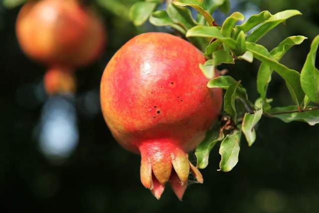 如果季节有色彩，那秋天一定是这种……休闲区蓝鸢梦想 - Www.slyday.coM
