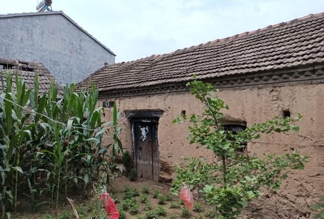 长亭外古道边的美丽乡村丰县孙楼十里庙村