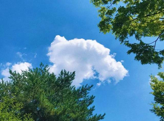 如果季节有色彩，那秋天一定是这种……休闲区蓝鸢梦想 - Www.slyday.coM