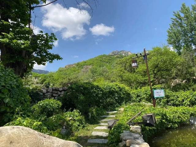 如果季节有色彩，那秋天一定是这种……休闲区蓝鸢梦想 - Www.slyday.coM