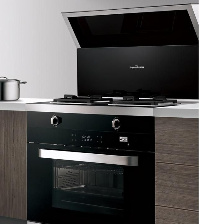 蒸烤一体,1台抵多台!小松鼠集成灶全新亮相