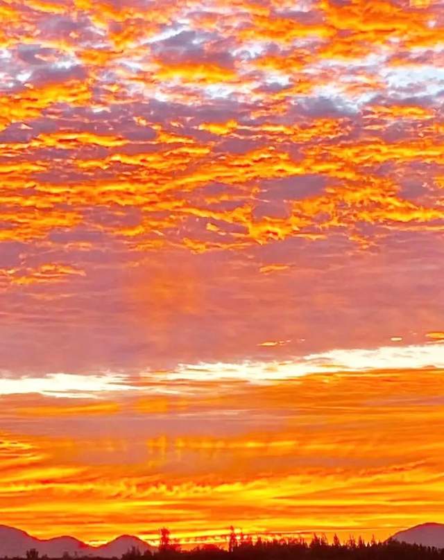 如果季节有色彩，那秋天一定是这种……休闲区蓝鸢梦想 - Www.slyday.coM