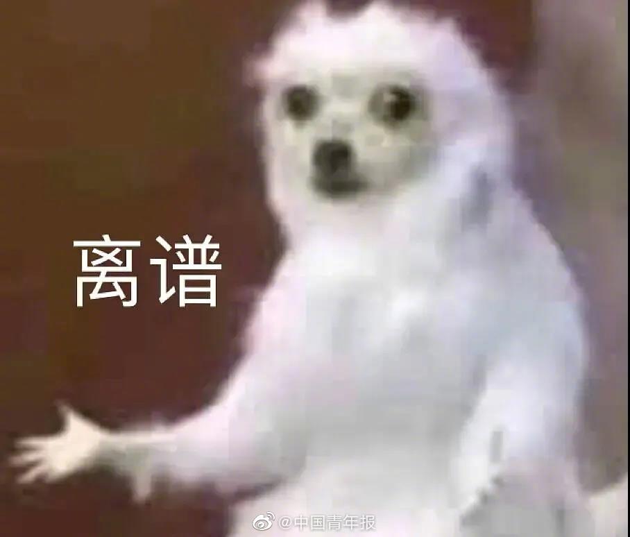 3000多人掉进考证躺赚陷阱!两个套路曝光……休闲区蓝鸢梦想 - Www.slyday.coM 3000多人掉进考证躺赚陷阱!两个套路曝光……休闲区蓝鸢梦想 - Www.slyday.coM