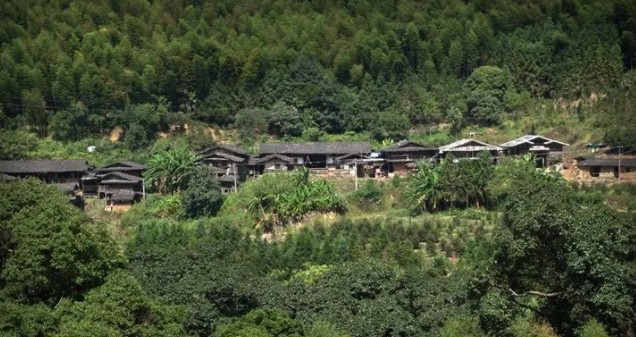 杭州俩女子去深山买老宅失踪！凌晨2点，民警在仅剩一户人家的古村找到了……休闲区蓝鸢梦想 - Www.slyday.coM