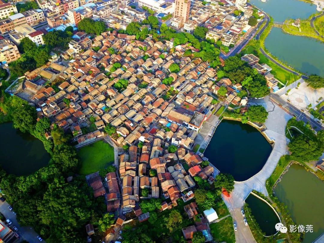 石排你怎么这么好看