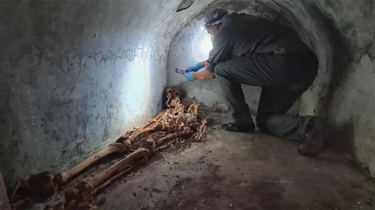 庞贝古城发现2000年前人类遗骸:骨架保存完好,头顶白发清晰可见