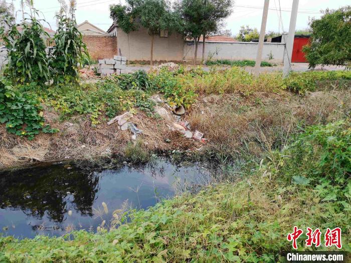 资料图：在农村生态环境保护方面，山东统筹推进农村生活污水和黑臭水体治理等各项重点工作。山东省生态环境厅供图