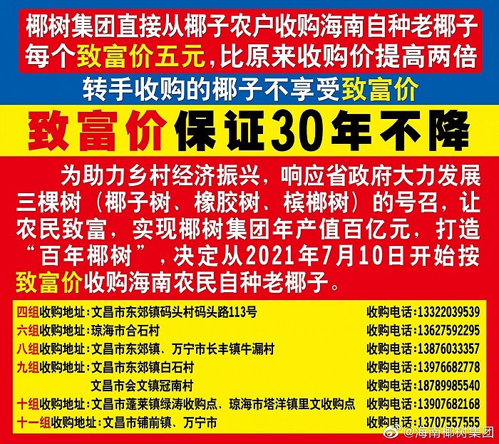 椰树集团助力乡村振兴 以致富价每个五元向椰农收购老椰子 海南省 新浪财经 新浪网