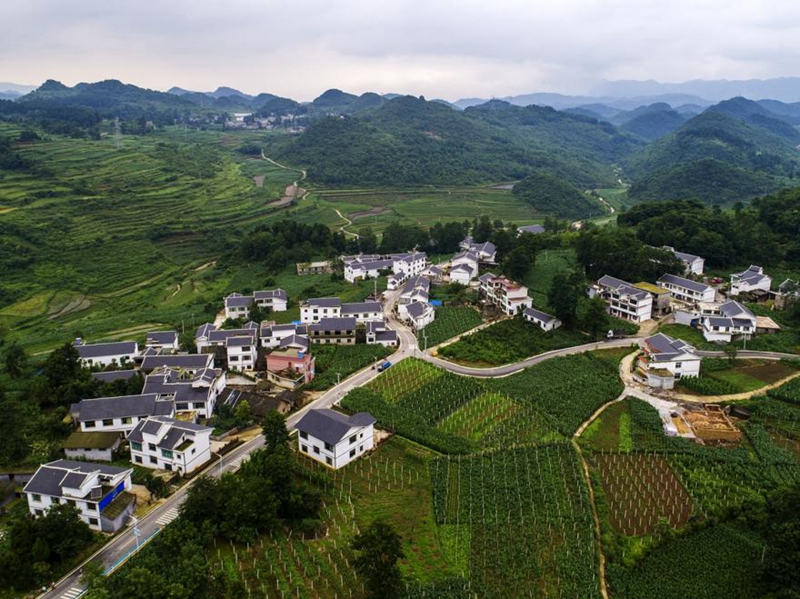贵州8月19日消息(记者曾实 见习记者张翼晶)贵阳市息烽县团圆居委会