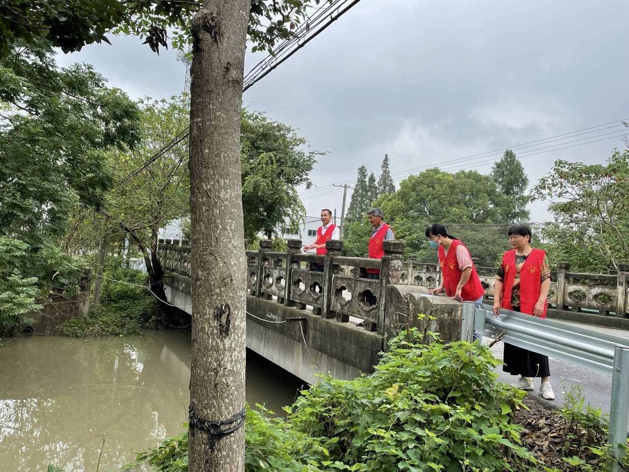 进村入户!南湖新丰镇金章村环保宣传接地气