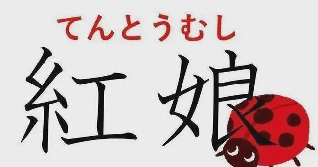 日语中的 紅娘 和中文意思一样吗 瓢虫 日语 圣母玛利亚 新浪新闻