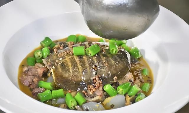 农村老人言:“上山甲鱼,下山野鸡”不能碰,这是为啥?3个原因休闲区蓝鸢梦想 - Www.slyday.coM 农村老人言:“上山甲鱼,下山野鸡”不能碰,这是为啥?3个原因休闲区蓝鸢梦想 - Www.slyday.coM