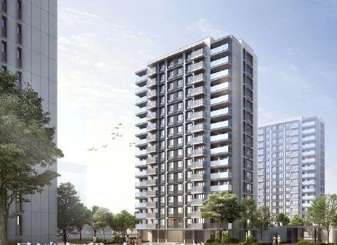 红树林酒店超10亿贷款逾期 董事长张宝全多次