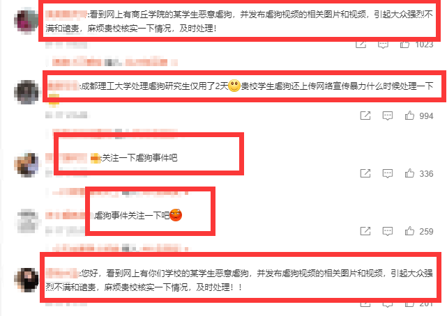 “虐狗的一天，牙拔了，眼睛打流血！”柯基犬被丢进洗衣机内搅动休闲区蓝鸢梦想 - Www.slyday.coM