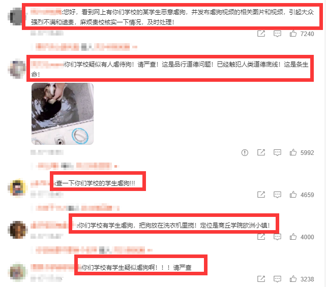 “虐狗的一天，牙拔了，眼睛打流血！”柯基犬被丢进洗衣机内搅动休闲区蓝鸢梦想 - Www.slyday.coM