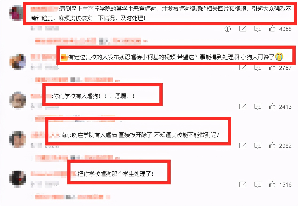 “虐狗的一天，牙拔了，眼睛打流血！”柯基犬被丢进洗衣机内搅动休闲区蓝鸢梦想 - Www.slyday.coM