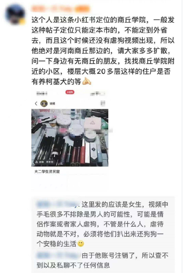 “虐狗的一天，牙拔了，眼睛打流血！”柯基犬被丢进洗衣机内搅动休闲区蓝鸢梦想 - Www.slyday.coM