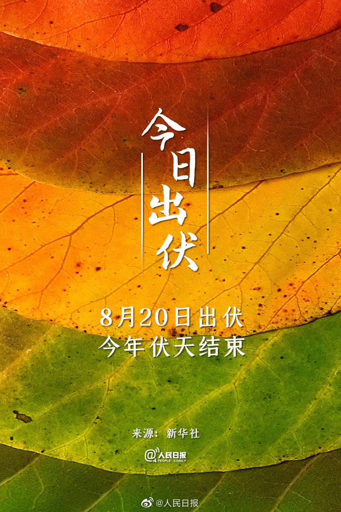 今日出伏,你感受到了吗?