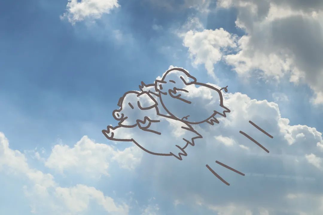 咻咻~ 谁说猪猪没有梦想 他们大概是最快乐的小猪 在云端遨游着   把