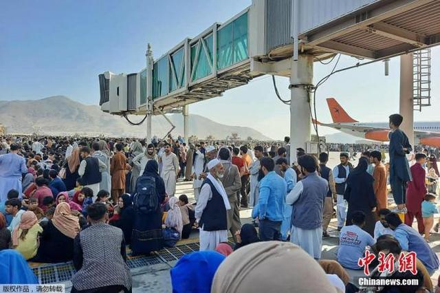 当地时间8月16日，等待撤离的人群聚集在阿富汗机场。中新网图
