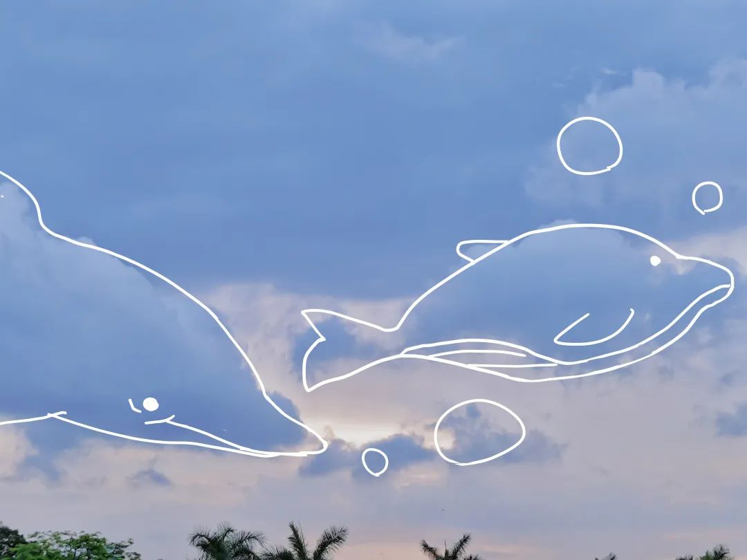 海豚吹着泡泡 和同伴们嬉戏云间   不时还舒服地翻腾起来 厦园的天空