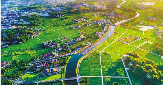 聚焦民生善治乡村丨建德大同镇各美其美不重样村庄治理同向行